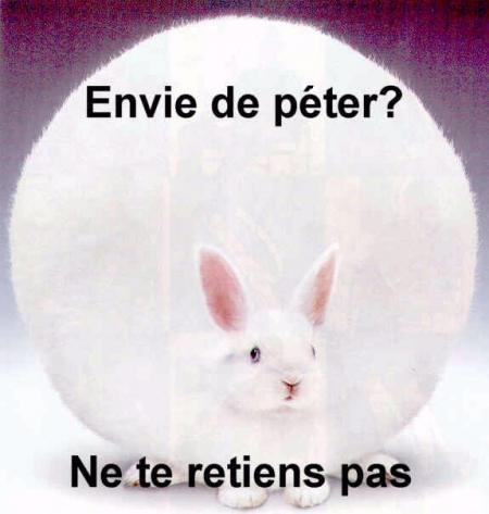 MEME EN COURS LOL